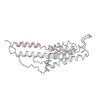 0677_6j5i_a_v1-2
Cryo-EM structure of the mammalian DP-state ATP synthase