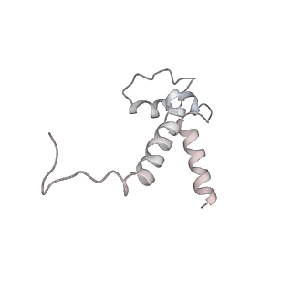 0677_6j5i_f_v1-1
Cryo-EM structure of the mammalian DP-state ATP synthase