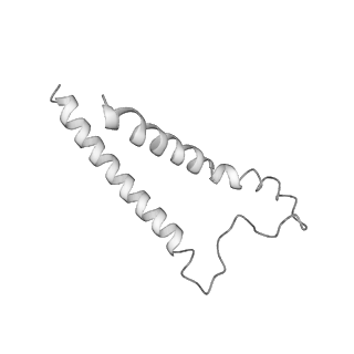0677_6j5i_g_v1-1
Cryo-EM structure of the mammalian DP-state ATP synthase