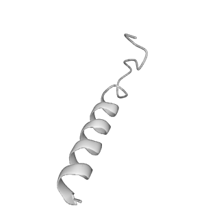0677_6j5i_k_v1-1
Cryo-EM structure of the mammalian DP-state ATP synthase