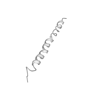 0677_6j5i_u_v1-1
Cryo-EM structure of the mammalian DP-state ATP synthase