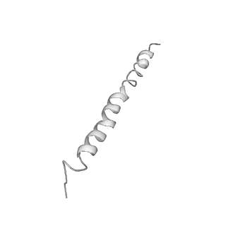 0677_6j5i_u_v1-2
Cryo-EM structure of the mammalian DP-state ATP synthase