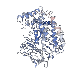 0681_6j5u_A_v1-2
Ligand-triggered allosteric ADP release primes a plant NLR complex