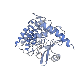 0681_6j5u_B_v1-2
Ligand-triggered allosteric ADP release primes a plant NLR complex
