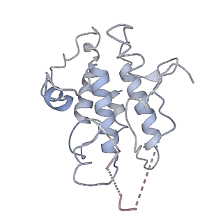 0681_6j5u_C_v1-2
Ligand-triggered allosteric ADP release primes a plant NLR complex