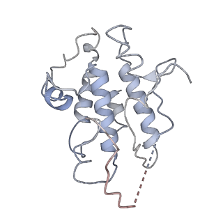 0681_6j5u_C_v2-0
Ligand-triggered allosteric ADP release primes a plant NLR complex
