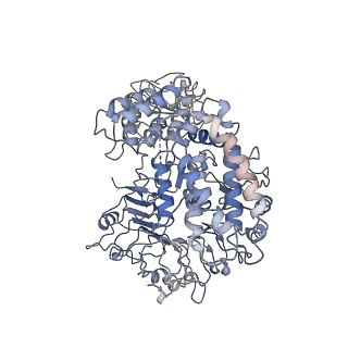 0682_6j5v_A_v1-2
Ligand-triggered allosteric ADP release primes a plant NLR complex