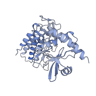 0682_6j5v_B_v1-2
Ligand-triggered allosteric ADP release primes a plant NLR complex