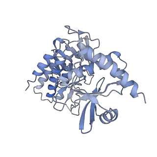 0682_6j5v_B_v2-0
Ligand-triggered allosteric ADP release primes a plant NLR complex