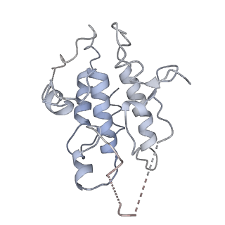 0682_6j5v_C_v1-2
Ligand-triggered allosteric ADP release primes a plant NLR complex