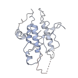 0682_6j5v_C_v2-0
Ligand-triggered allosteric ADP release primes a plant NLR complex