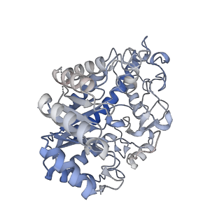 35985_8j5d_A_v1-0
Cryo-EM structure of starch degradation complex of BAM1-LSF1-MDH