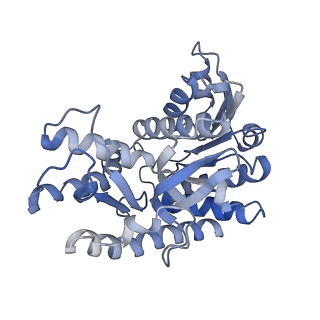 35985_8j5d_B_v1-0
Cryo-EM structure of starch degradation complex of BAM1-LSF1-MDH