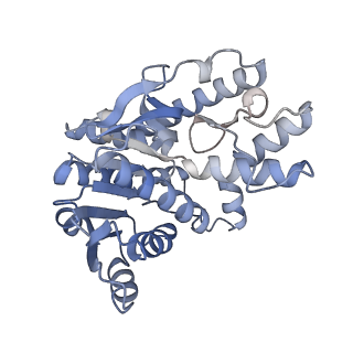 35985_8j5d_C_v1-0
Cryo-EM structure of starch degradation complex of BAM1-LSF1-MDH