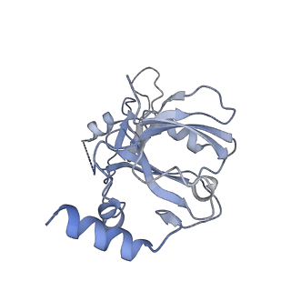 35985_8j5d_D_v1-0
Cryo-EM structure of starch degradation complex of BAM1-LSF1-MDH