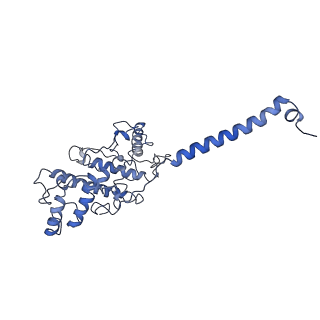 35988_8j5o_C_v1-1
Cryo-EM structure of native RC-LH complex from Roseiflexus castenholzii at 100lux