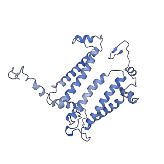 35988_8j5o_L_v1-1
Cryo-EM structure of native RC-LH complex from Roseiflexus castenholzii at 100lux