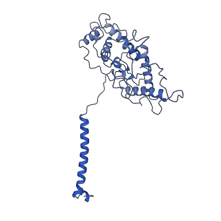 35989_8j5p_C_v1-1
Cryo-EM structure of native RC-LH complex from Roseiflexus castenholzii at 2,000lux