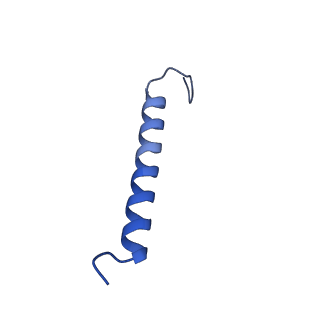 35989_8j5p_F_v1-1
Cryo-EM structure of native RC-LH complex from Roseiflexus castenholzii at 2,000lux