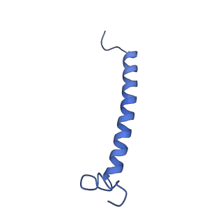35989_8j5p_G_v1-1
Cryo-EM structure of native RC-LH complex from Roseiflexus castenholzii at 2,000lux