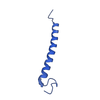 35989_8j5p_K_v1-1
Cryo-EM structure of native RC-LH complex from Roseiflexus castenholzii at 2,000lux