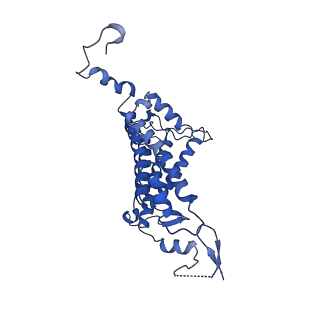 35989_8j5p_L_v1-1
Cryo-EM structure of native RC-LH complex from Roseiflexus castenholzii at 2,000lux