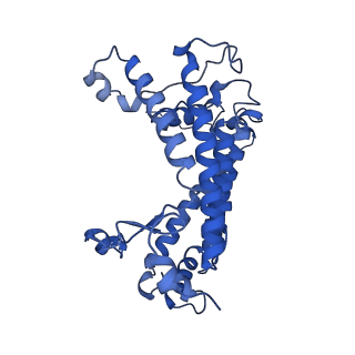 35989_8j5p_M_v1-1
Cryo-EM structure of native RC-LH complex from Roseiflexus castenholzii at 2,000lux