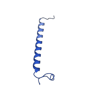 35989_8j5p_U_v1-1
Cryo-EM structure of native RC-LH complex from Roseiflexus castenholzii at 2,000lux