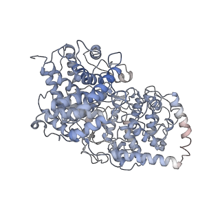 35996_8j5z_C_v1-2
The cryo-EM structure of the TwOSC1 tetramer