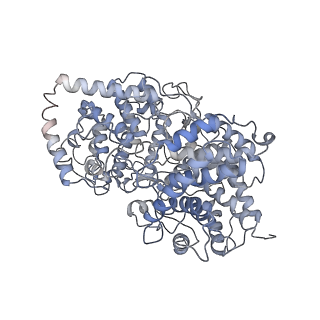 35996_8j5z_D_v1-2
The cryo-EM structure of the TwOSC1 tetramer