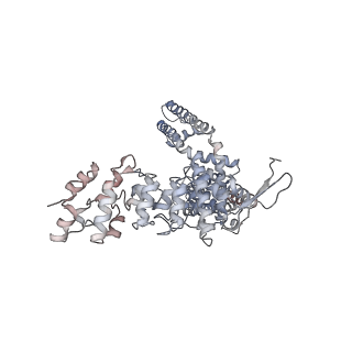 5777_3j5r_A_v1-4
Reconstruction of TRPV1 ion channel in complex with capsaicin by single particle cryo-microscopy