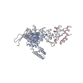 5777_3j5r_D_v1-4
Reconstruction of TRPV1 ion channel in complex with capsaicin by single particle cryo-microscopy