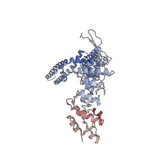 5778_3j5p_C_v1-3
Structure of TRPV1 ion channel determined by single particle electron cryo-microscopy