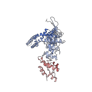 5778_3j5p_C_v1-4
Structure of TRPV1 ion channel determined by single particle electron cryo-microscopy