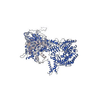 0686_6j6g_A_v1-1
Cryo-EM structure of the yeast B*-a2 complex at an average resolution of 3.2 angstrom