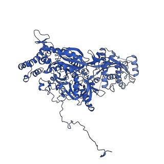 0686_6j6g_C_v1-1
Cryo-EM structure of the yeast B*-a2 complex at an average resolution of 3.2 angstrom