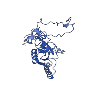 0686_6j6g_R_v1-1
Cryo-EM structure of the yeast B*-a2 complex at an average resolution of 3.2 angstrom