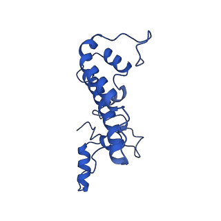 0686_6j6g_T_v1-1
Cryo-EM structure of the yeast B*-a2 complex at an average resolution of 3.2 angstrom