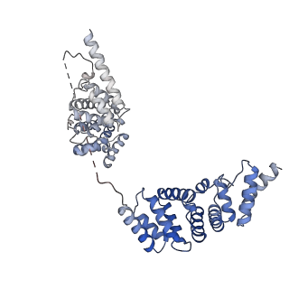 0686_6j6g_Z_v1-1
Cryo-EM structure of the yeast B*-a2 complex at an average resolution of 3.2 angstrom