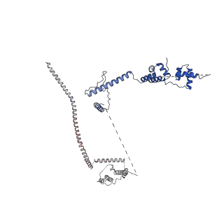 0686_6j6g_c_v2-0
Cryo-EM structure of the yeast B*-a2 complex at an average resolution of 3.2 angstrom