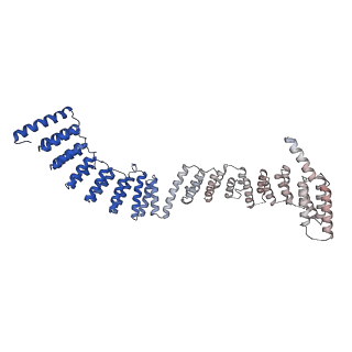0686_6j6g_d_v2-0
Cryo-EM structure of the yeast B*-a2 complex at an average resolution of 3.2 angstrom