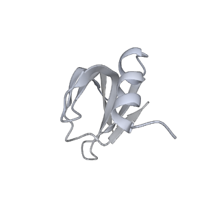 0686_6j6g_i_v1-1
Cryo-EM structure of the yeast B*-a2 complex at an average resolution of 3.2 angstrom