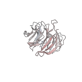 0686_6j6g_n_v1-1
Cryo-EM structure of the yeast B*-a2 complex at an average resolution of 3.2 angstrom