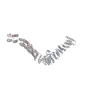 0686_6j6g_v_v1-1
Cryo-EM structure of the yeast B*-a2 complex at an average resolution of 3.2 angstrom