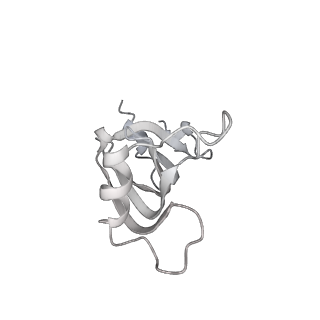 0686_6j6g_z_v1-1
Cryo-EM structure of the yeast B*-a2 complex at an average resolution of 3.2 angstrom