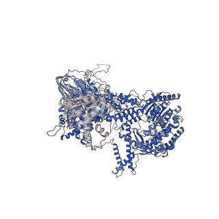 0687_6j6h_A_v1-1
Cryo-EM structure of the yeast B*-a1 complex at an average resolution of 3.6 angstrom