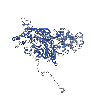 0687_6j6h_C_v1-1
Cryo-EM structure of the yeast B*-a1 complex at an average resolution of 3.6 angstrom