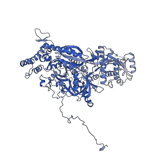 0687_6j6h_C_v2-0
Cryo-EM structure of the yeast B*-a1 complex at an average resolution of 3.6 angstrom