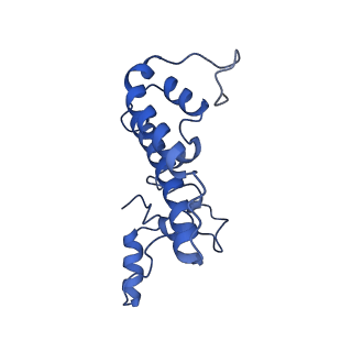 0687_6j6h_T_v1-1
Cryo-EM structure of the yeast B*-a1 complex at an average resolution of 3.6 angstrom
