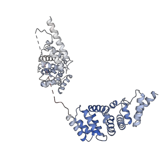 0687_6j6h_Z_v1-1
Cryo-EM structure of the yeast B*-a1 complex at an average resolution of 3.6 angstrom